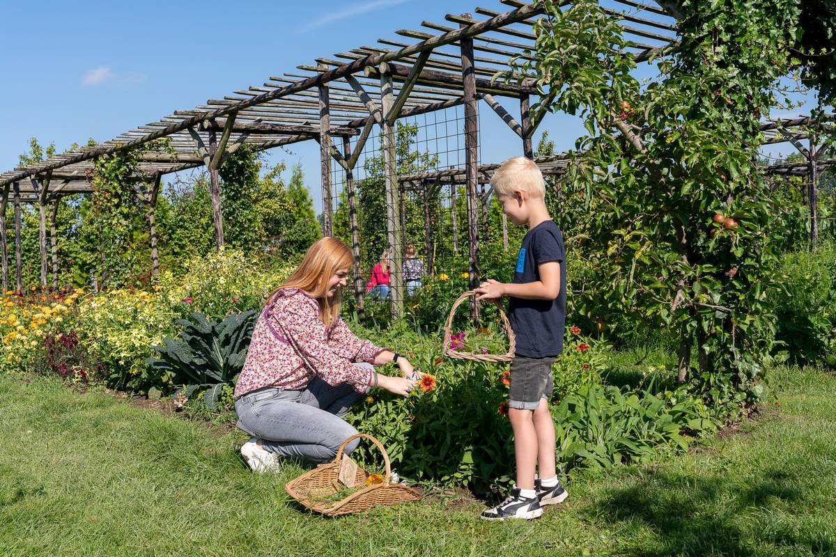 Bloemen plukken met kinderen
